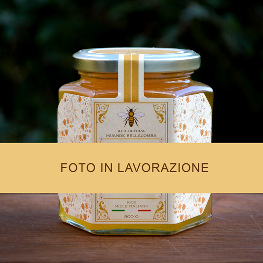 Miele dei fiori della Val Susa 1 kg